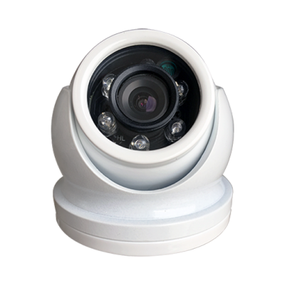 IP Cameras